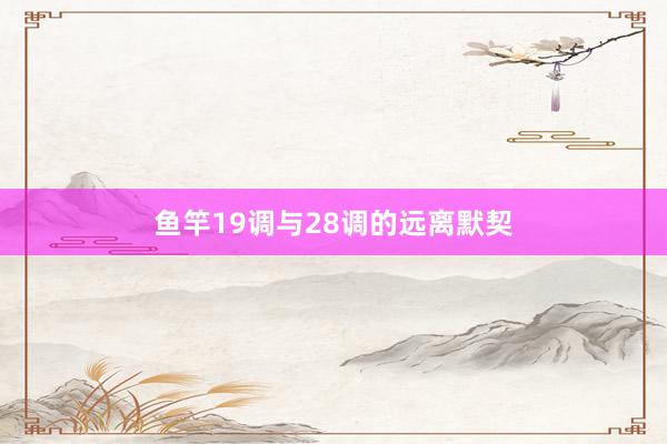 鱼竿19调与28调的远离默契